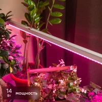 Фитосветильник линейный светодиодный Эра Fito 873 мм 14 Вт красно-синий спектр розовый свет