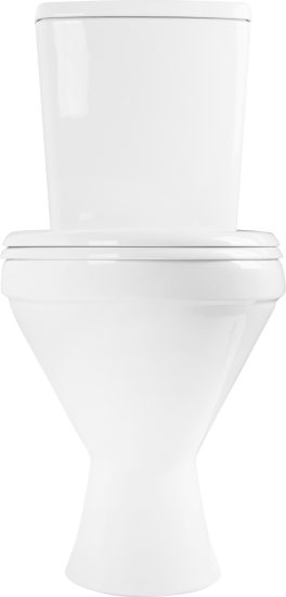 Унитаз-компакт Rosa Фарт косой выпуск двойной слив