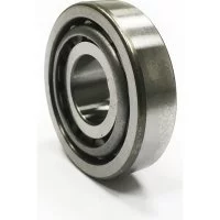 Подшипник DINROLL N317M