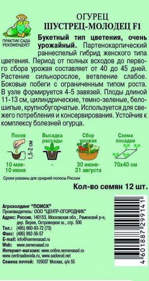 Семена Огурец «Шустрец-молодец» F1