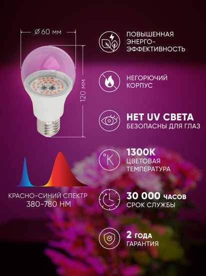 Фитолампа светодиодная для растений Эра 14 Вт E27 груша красно-синий спектр розовый свет