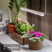 Фитосветильник линейный светодиодный Эра Fito 573 мм 9 Вт T5/G5 полный спектр нейтральный белый свет