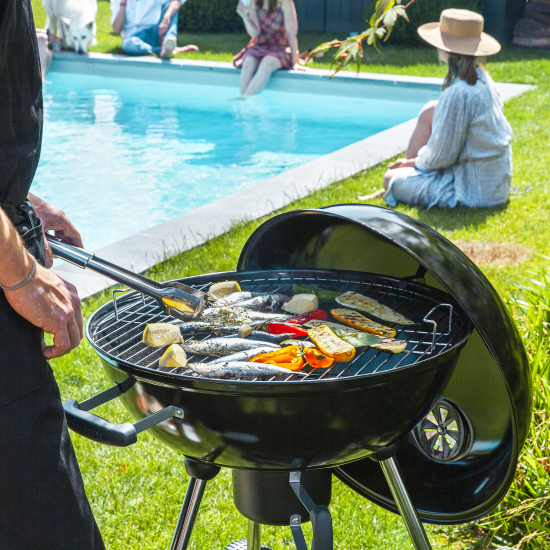 Гриль передвижной Naterial Phoenix Alpha D57 см