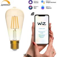 Филаментная лампа Gauss Smart Home