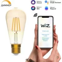 Филаментная лампа Gauss Smart Home