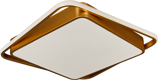 Светильник потолочный Freya FR10026CL-L93G
