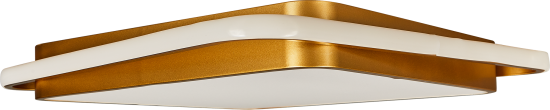 Светильник потолочный Freya FR10026CL-L93G
