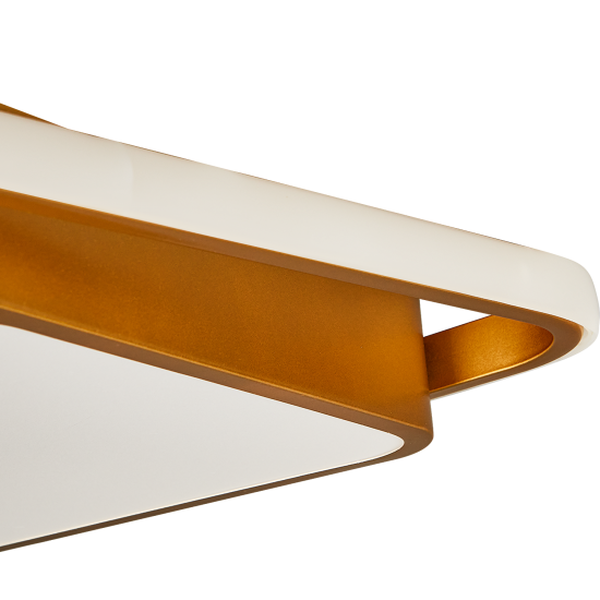 Светильник потолочный Freya FR10026CL-L93G