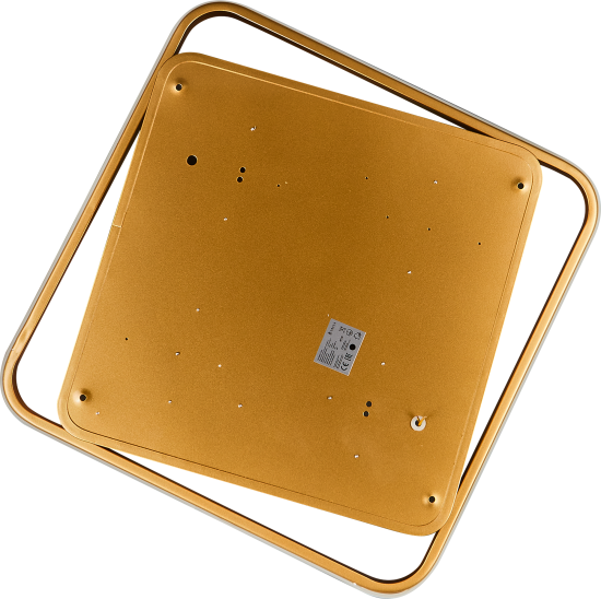 Светильник потолочный Freya FR10026CL-L93G