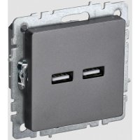 Розетка usb IEK Brite