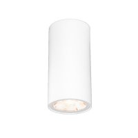 Светильник светодиодный садово-парковый накладной Elektrostandard Light LED белый 110 мм 4000К 4 Вт IP65 (35129/H)