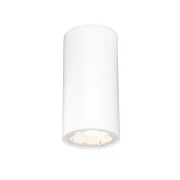 Светильник светодиодный садово-парковый накладной Elektrostandard Light LED белый 110 мм 4000К 4 Вт IP65 (35129/H)