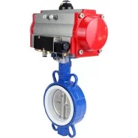 Затвор DN.ru wcb-316l-ptfe