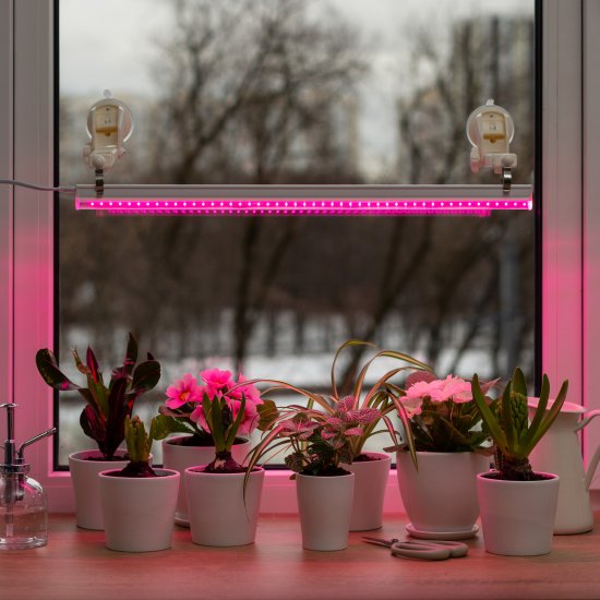 Фитосветильник линейный светодиодный Ritter Planta 56296 2 10Вт 572мм провод 2м с выключателем на корпусе цвет белый