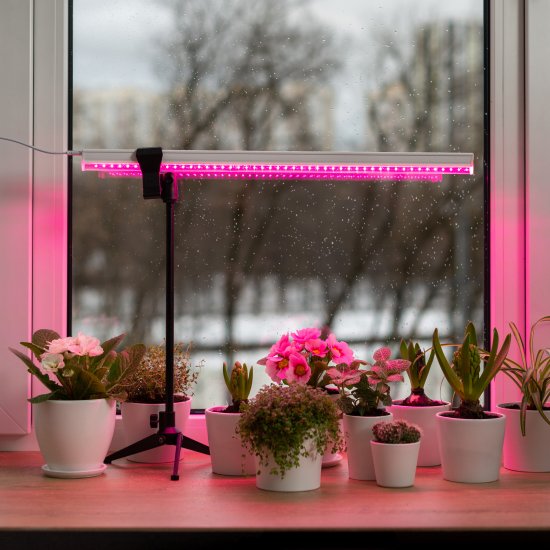 Фитосветильник линейный светодиодный Ritter Planta 56296 2 10Вт 572мм провод 2м с выключателем на корпусе цвет белый
