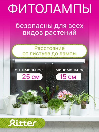 Фитосветильник линейный светодиодный Ritter Planta 56296 2 10Вт 572мм провод 2м с выключателем на корпусе цвет белый