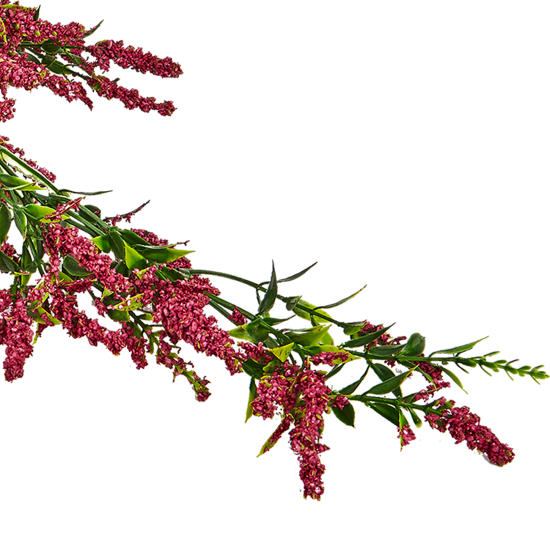 Искусственное растение С соцветиями 40x8 см цвет разноцветный ПВХ