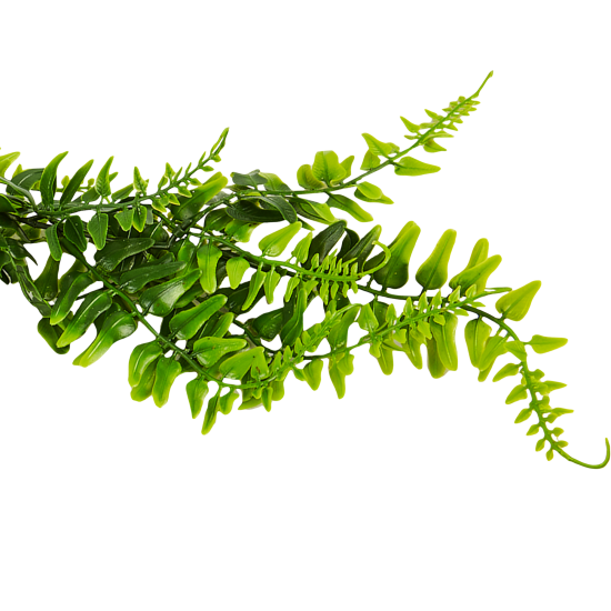 Искусственное растение Колумнея 50x8 см цвет зеленый ПВХ