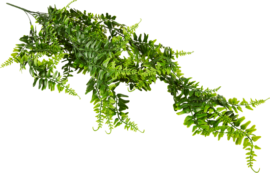 Искусственное растение Колумнея 50x8 см цвет зеленый ПВХ