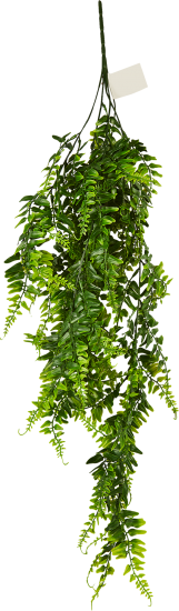 Искусственное растение Колумнея 50x8 см цвет зеленый ПВХ