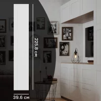 Дверь для шкафа Лион Реймс 39.6x225.8x1.6 см ЛДСП цвет белый