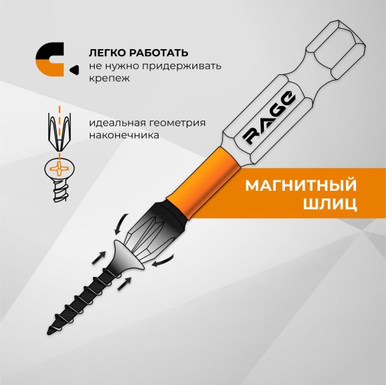 Бита магнитная Rage 554137 PZ2x100 мм, 2 шт.