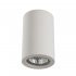 Потолочный светильник ARTE LAMP A9260PL-1WH