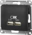 Розетка USB встраиваемая Systeme Electric Glossa цвет антрацит