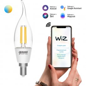 Филаментная лампа Gauss Smart Home DIM+CCT