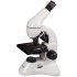 Микроскоп Levenhuk Rainbow D50L PLUS