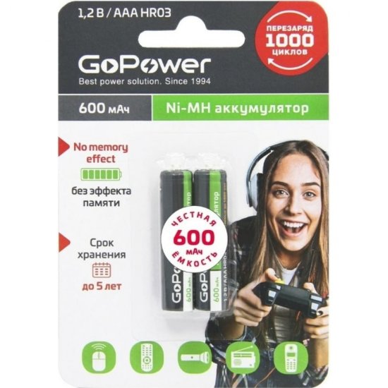 Бытовой аккумулятор GoPower HR03