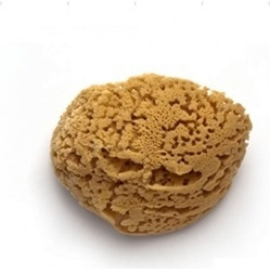 Большая натуральная морская губка STMDECOR M86