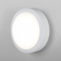 Стационарный светодиодный светильник Elektrostandard LTB51