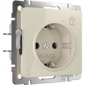 Розетка WERKEL a056421