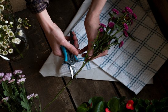 Ножницы для растений Plantic Light L62