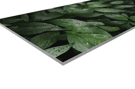 Стеновая панель Botanical Gar 300x0.4x60 см алюминий цвет зеленый