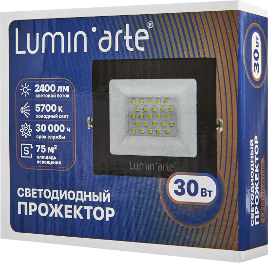 Прожектор светодиодный уличный Lumin Arte 30 Вт 5700К IP65 нейтральный белый свет
