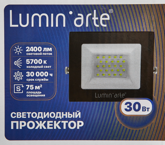 Прожектор светодиодный уличный Lumin Arte 30 Вт 5700К IP65 нейтральный белый свет