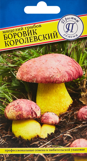 Мицелий грибов Престиж боровик Королевский