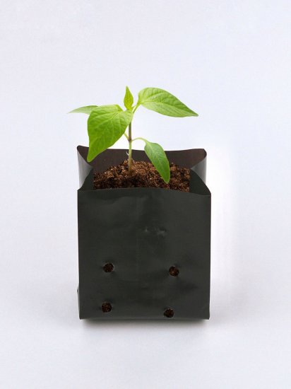 Пакеты рассадные полипропилен 0.5 л 10 шт.