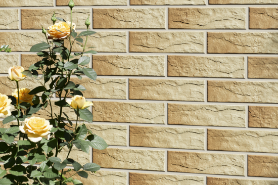 Плитка клинкерная Cerrad Rustico светло-оранжевый 0.5 м²