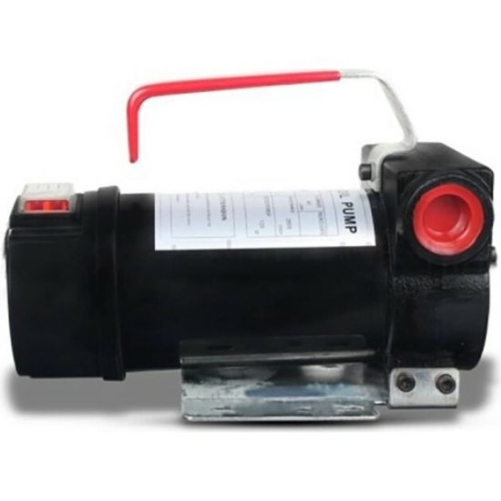 Электрический насос для дт и керосина Petropump ACTP 40 220 В