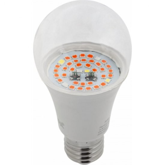 Лампа ЭРА FITO 14W RB E27