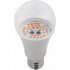 Лампа ЭРА FITO 14W RB E27