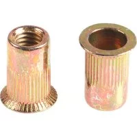 Оцинкованная заклепка-гайка ЦКИ М10 100 шт.