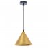 Светильник подвесной Arte Lamp David E27 60 Вт 3 кв.м черный IP20 (A7033SP-1BK)