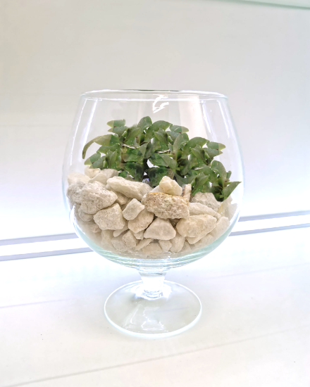 Ваза Бренди 2 л стекло цвет прозрачный 21см