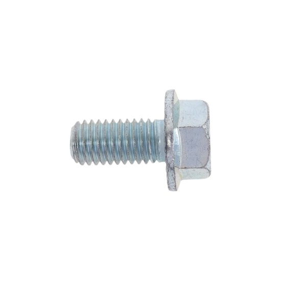 Оцинкованный болт ZAMETAL 10x20 DIN6921 200 шт