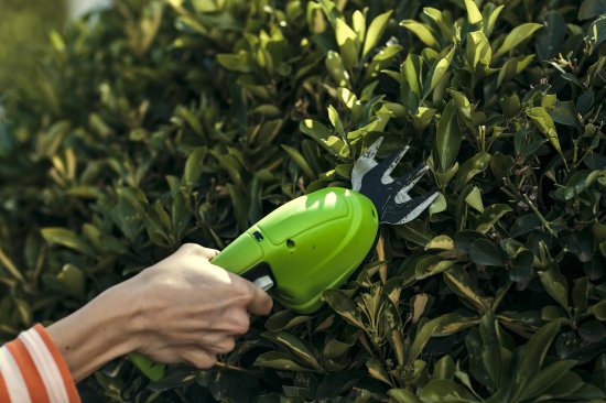 Ножницы аккумуляторные Greenworks 1600107 7.2 В 1x2 Ач АКБ и ЗУ входит в комплект