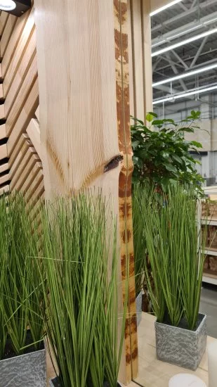 Слэб 28х(300-350)х1450 мм сосна